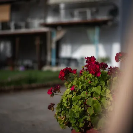 Marilena Anastasiou 公寓