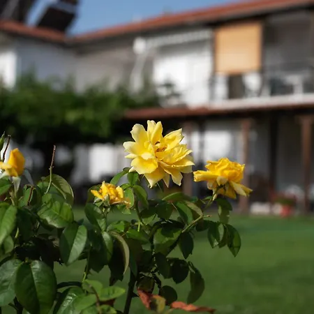 Marilena Anastasiou Lägenhet